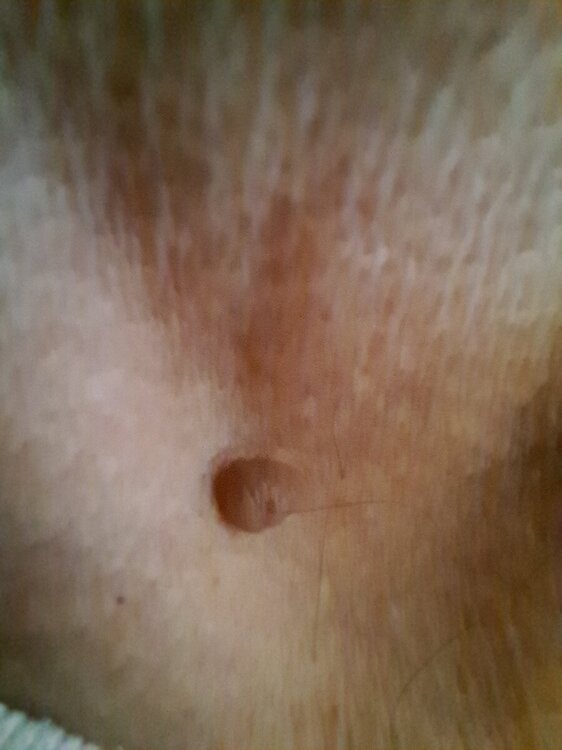 20240302_110715.jpg