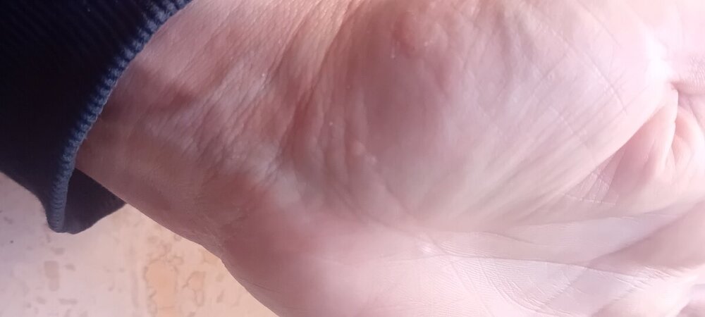 20240304_172123.jpg