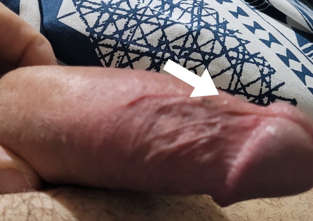 20240305_184123.jpg