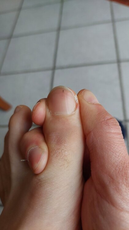 20240307_075828.jpg