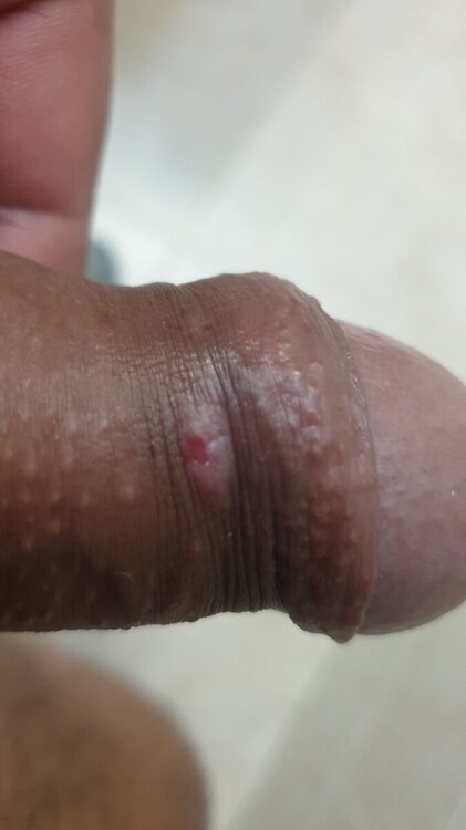 20240309_223809.thumb.jpg.7d1a07bb251b042cc665041d6ace5085.jpg