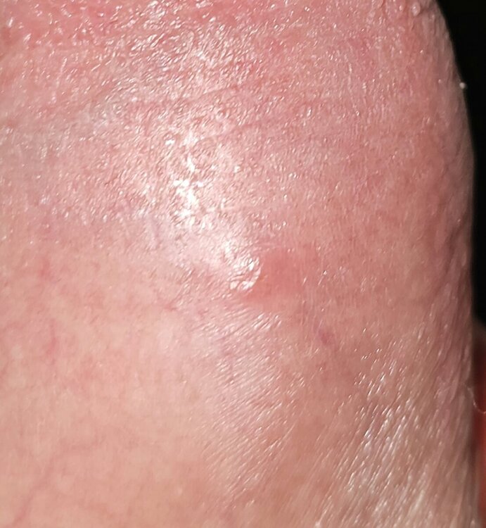 20240310_131348.thumb.jpg.d40e35c527341b74ff4f1b4dd360f1c6.jpg