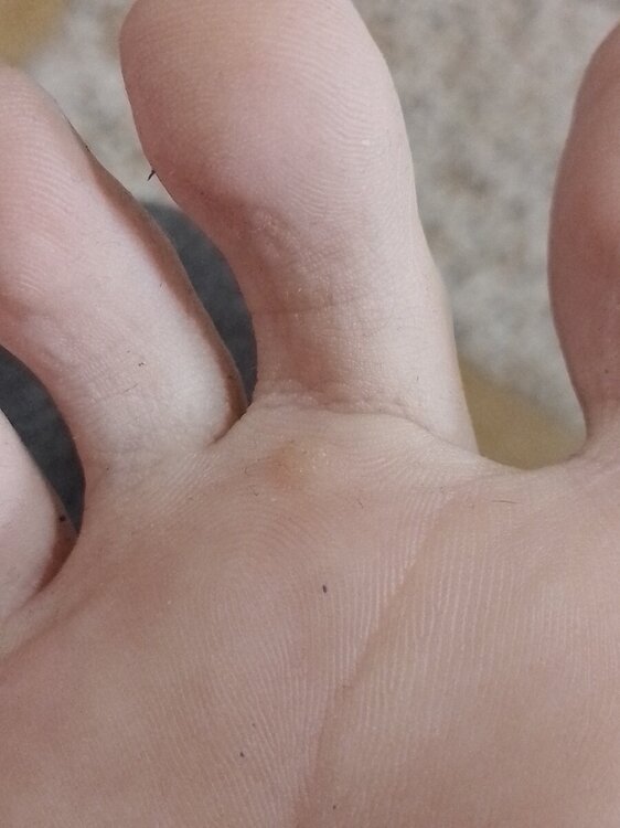 20240311_145037.jpg