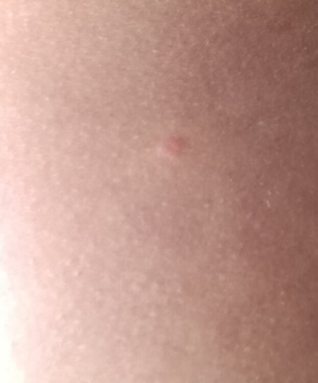 20240319_102136.jpg