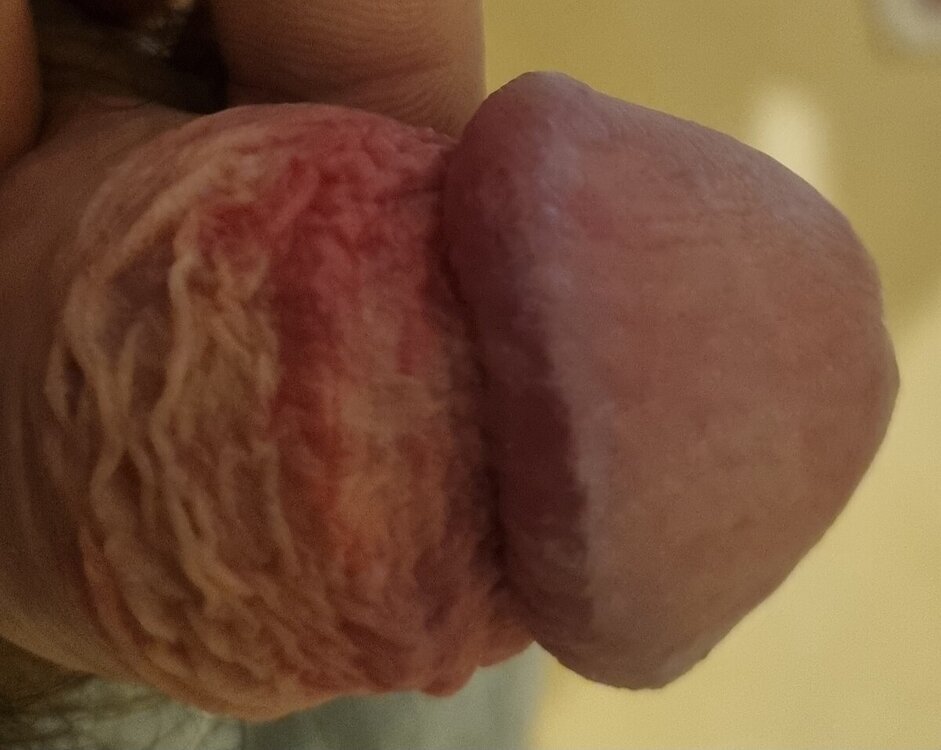 20240319_221249.thumb.jpg.91e19f9b72a9bfaf58d1223e97ba4e37.jpg