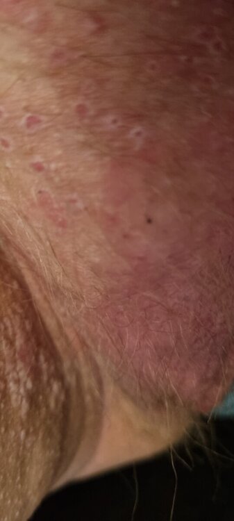 20240326_181412.thumb.jpg.b12051335e843f24621cf1c286da4d6b.jpg