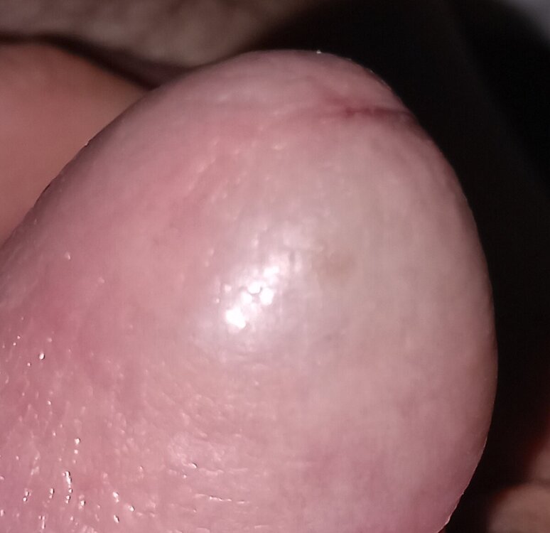 20240330_003858.jpg