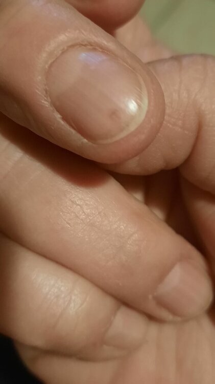 84028519_macchiarossa.thumb.jpg.94fb2f5a1979c5d97fc0cc537a480d9c.jpg