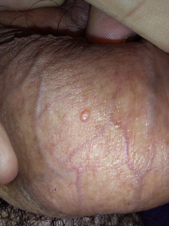 IMG-20240307-WA0011.jpg