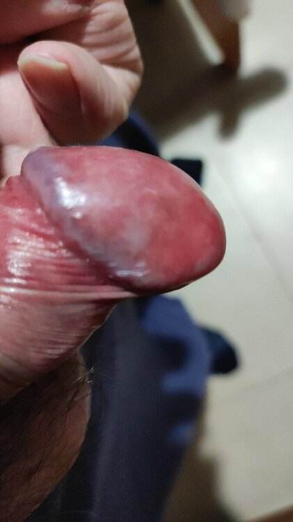 IMG-20240316-WA0044.jpeg