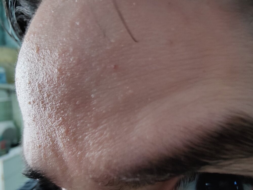 IMG20240302114839.jpg