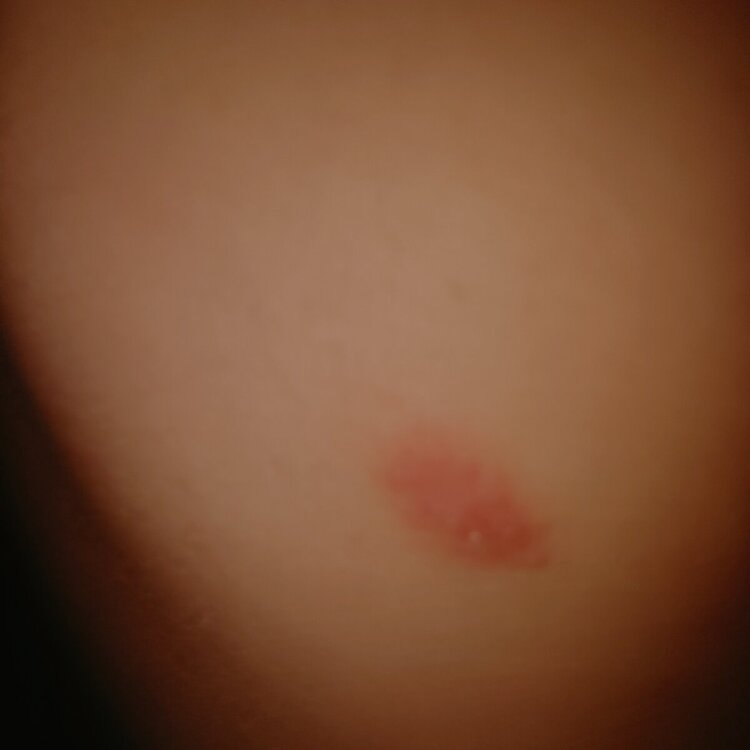 IMG20240304131831.jpg