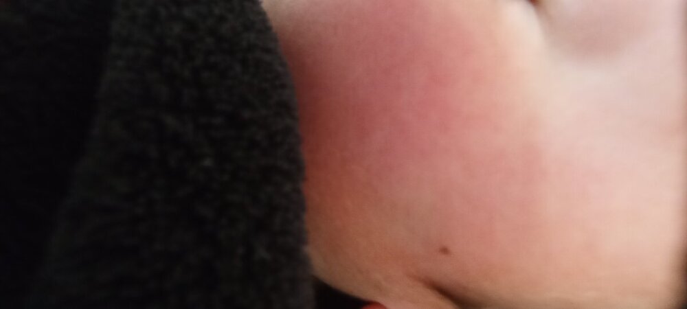 IMG_20240320_065956.jpg