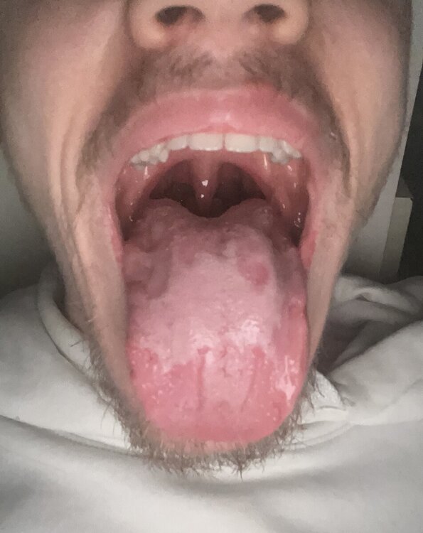 IMG_2628.jpeg