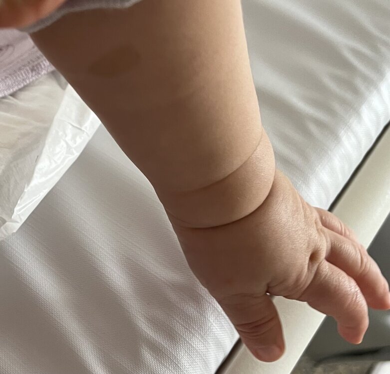 IMG_2896.thumb.jpeg.1024451523c5664882caad3d60aefc4b.jpeg