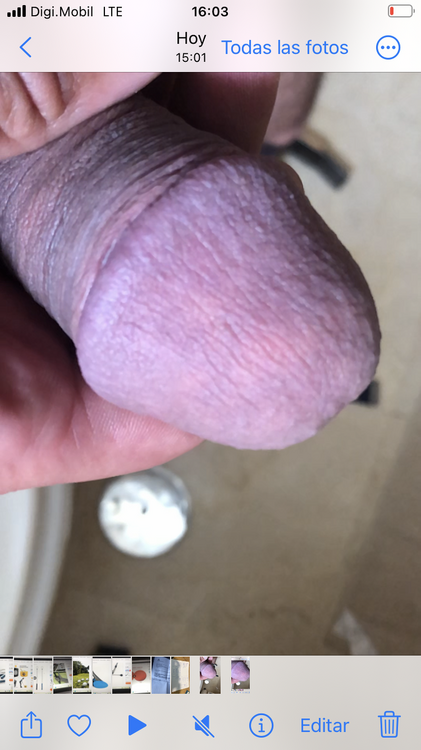 IMG_4246.png