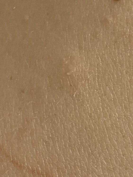 IMG_5182.jpeg