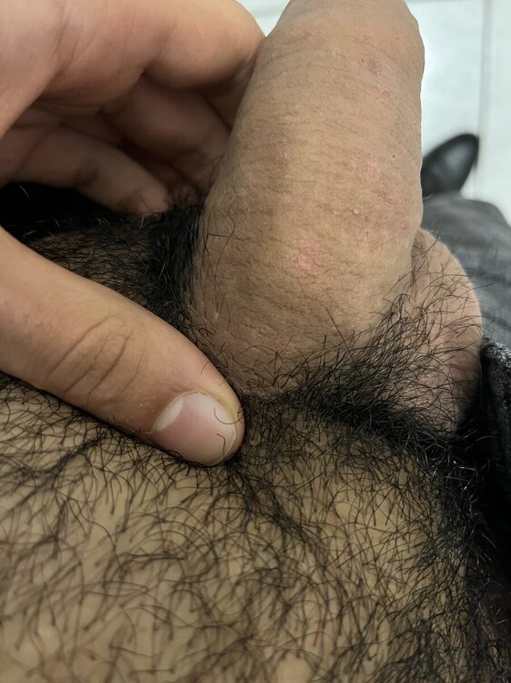 IMG_5257.thumb.jpeg.e7220d7db3ddf538bd3a76516d4286b4.jpeg