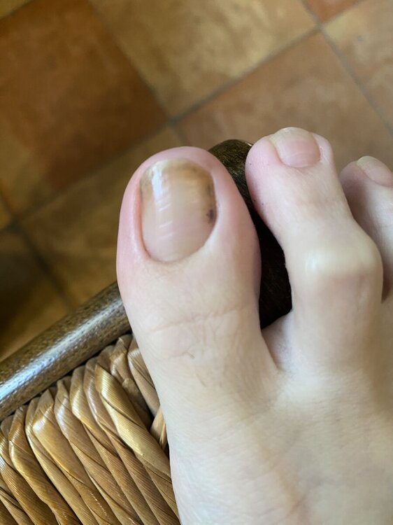 IMG_5447.jpeg