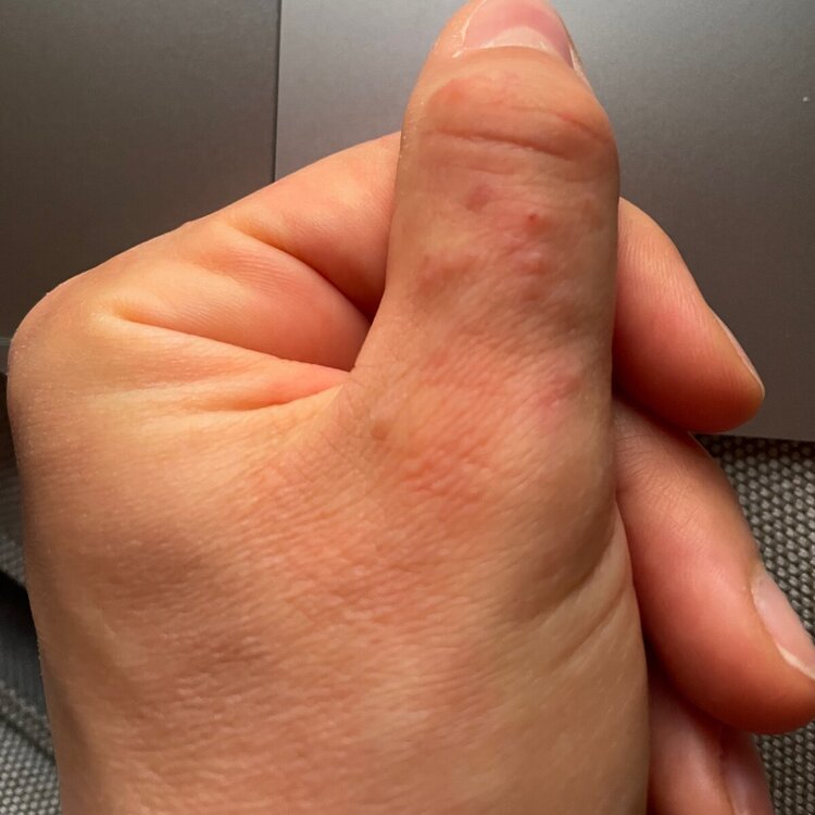 IMG_8948.thumb.jpeg.174e6f273d2877353cdd4b3a964a5a76.jpeg