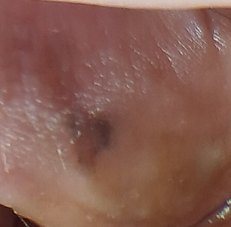 20240407_123127.jpg