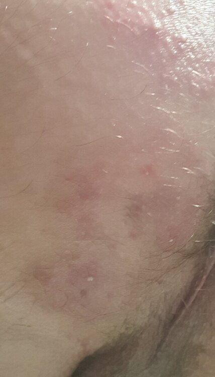 20240408_093544.jpg