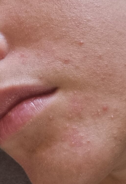20240415_094333.jpg