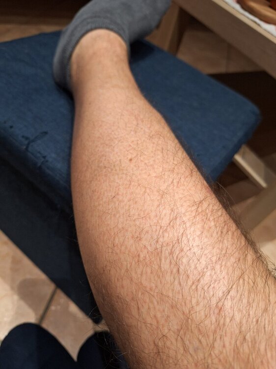 20240416_213834.thumb.jpg.0179468f7b334430ab34674e9a332aeb.jpg