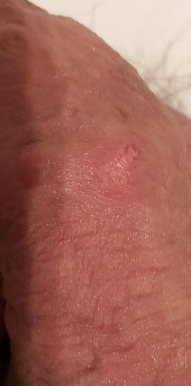 20240423_011140.jpg