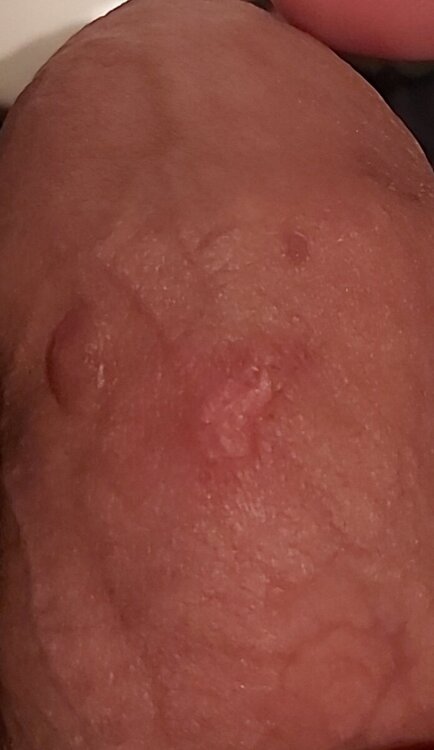 20240423_011333.jpg