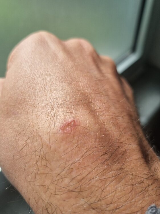 20240426_155736.thumb.jpg.33bf467face9b7e39e5fe703b88ade5e.jpg