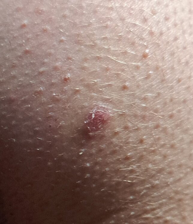 20240429_141239.jpg