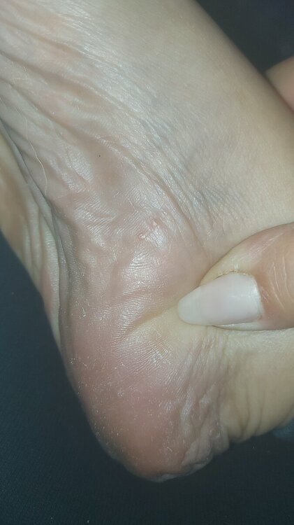IMG-20240409-WA0013.thumb.jpeg.1341d5775d1b570a755584478d92d0cd.jpeg