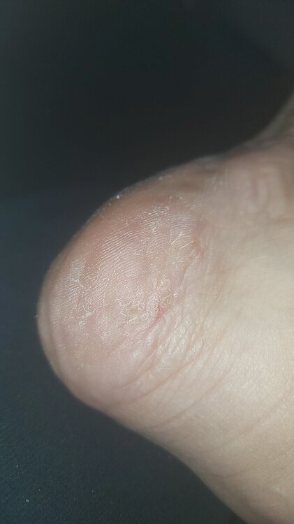 IMG-20240409-WA0016.thumb.jpeg.c8659199ecf89b2d8598c663f958d4b5.jpeg