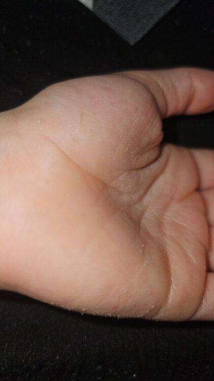 IMG-20240411-WA0004.jpeg