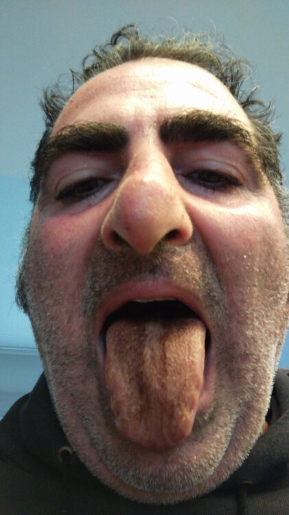 IMG-20240415-WA0004.jpeg