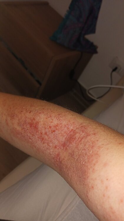 IMG-20240418-WA0000.jpeg