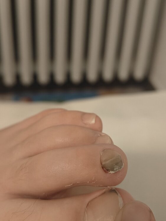 IMG20240413224608.jpg