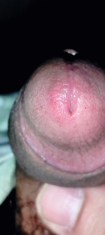 IMG20240414171837.jpg