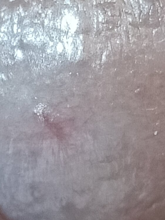 IMG20240416175424.jpg