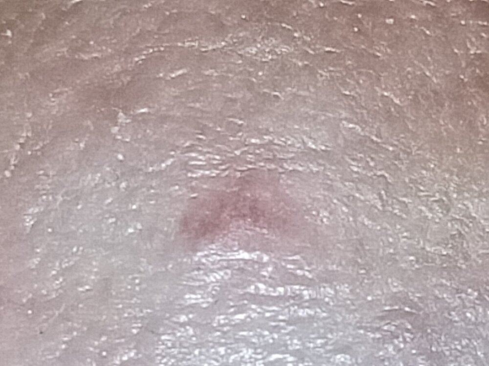 IMG20240418180329.jpg