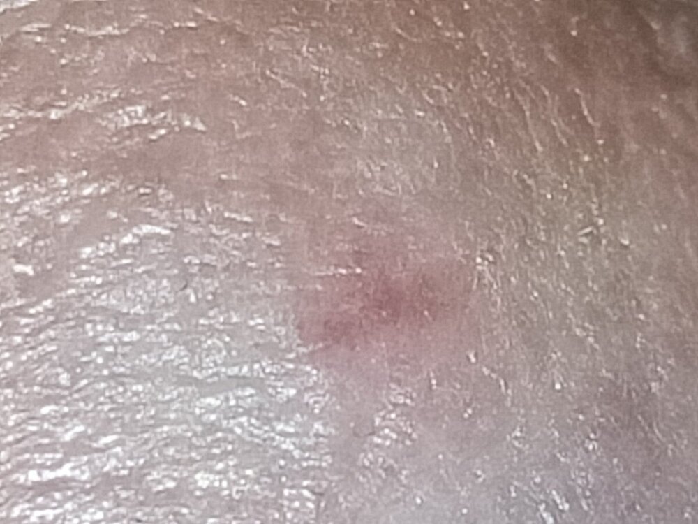 IMG20240418180334.jpg