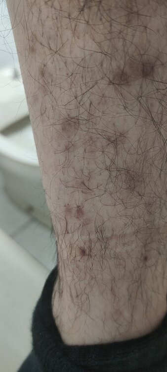 IMG20240429201742.jpg