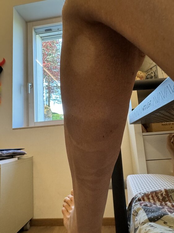 IMG_0533.jpeg