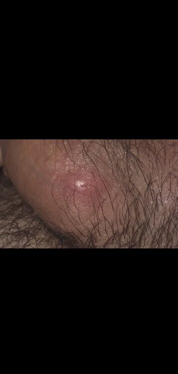 IMG_0687.jpeg