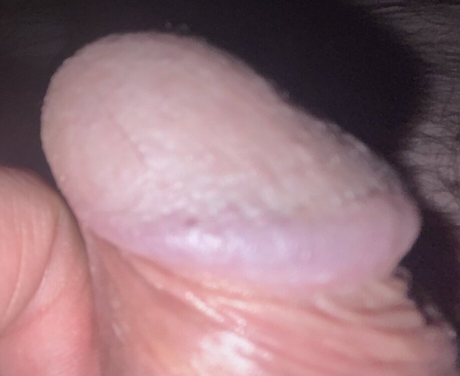IMG_0892.jpeg