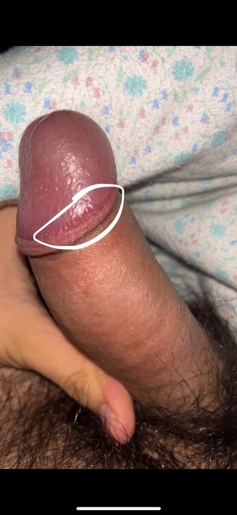 IMG_1679.thumb.jpeg.f147f798f530992de7cd5c8d5e8cf1f9.jpeg