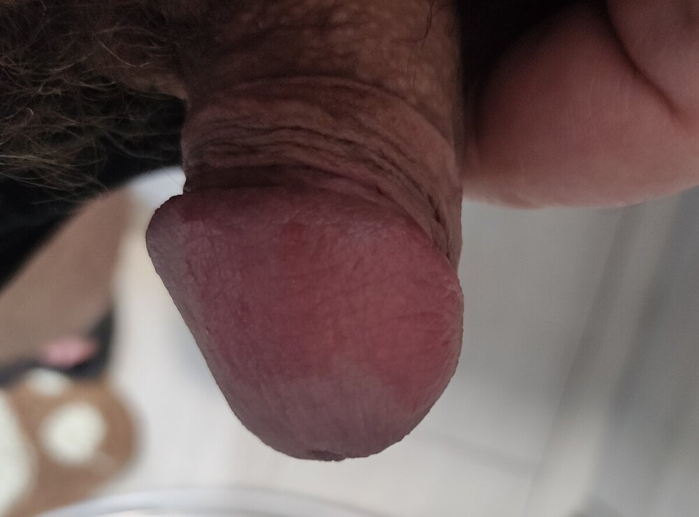 IMG_20240414_174759.jpg