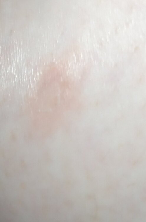IMG_20240418_092516.jpg