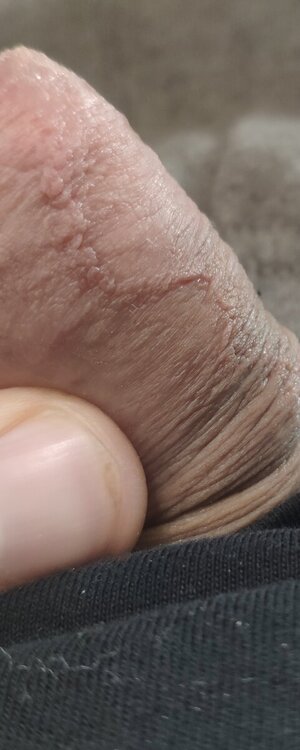 IMG_20240422_133521.thumb.jpg.87fdeceed58a09871c389f2d2c71e0d1.jpg